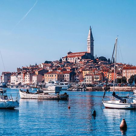 Nice Home In Rovinj With Outdoor Swimming Pool エクステリア 写真